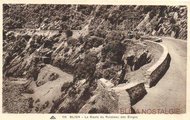 Blida - Route du Ruisseau des Singes.jpg